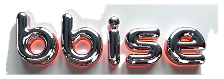 bbise logo